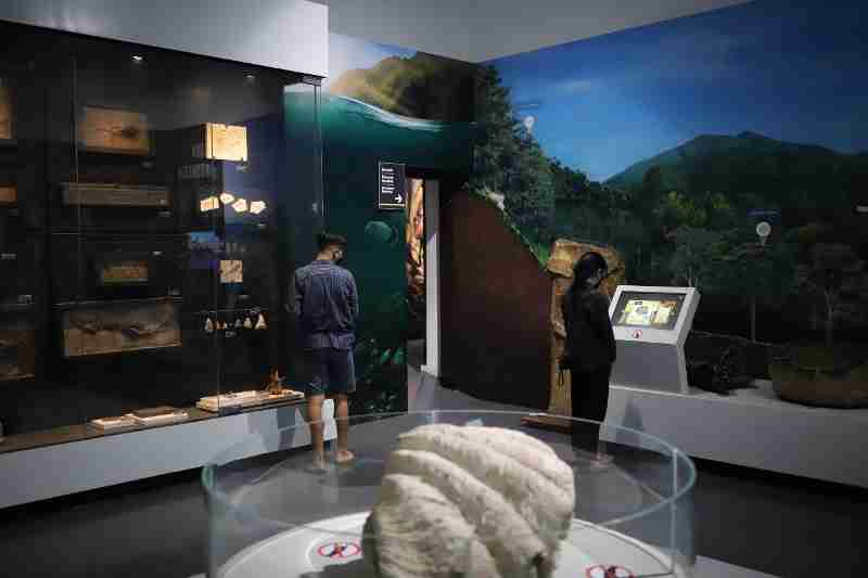 Aktivitas & Wahana Di Museum Geologi Bandung