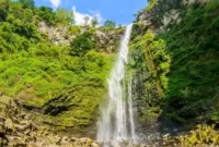 Harga Tiket Masuk Coban Rondo