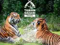 Harga Tiket Masuk Taman Safari Bogor Terbaru September 2023