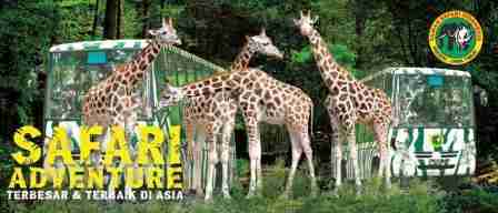 Harga Tiket Masuk Taman Safari Prigen
