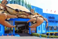 Harga Tiket Masuk WBL Wisata Bahari Lamongan