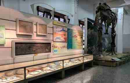Museum Geologi Bandung 1