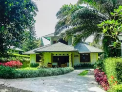 25 Villa di Puncak Bogor Murah 200 Ribu Fasilitas Lengkap