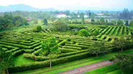 Harga Tiket  Masuk  Taman  Bunga  Nusantara  Terbaru Agustus 