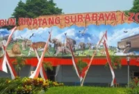 Harga Tiket Kebun Binatang Surabaya