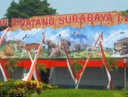 Harga Tiket Kebun Binatang Surabaya Agustus 2022