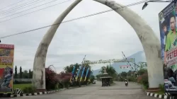 Harga Tiket Masuk Taman Safari Prigen