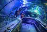 Harga Tiket Masuk Seaworld Terbaru