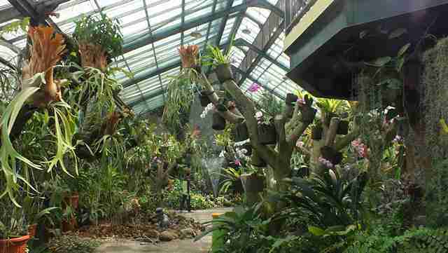 Rumah Kaca Anggrek Kebun Raya Bogor