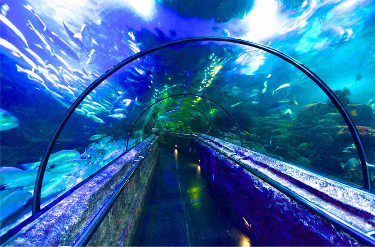 Terowongan Antasesna Seaworld