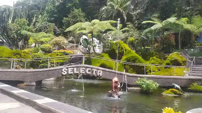 Tips Berkunjung ke Taman Selecta Malang