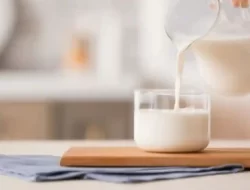 5 Pilihan Merk Susu Penggemuk Badan Terbaik di 2022, Rasa Enak dan Bergizi!