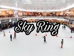 Harga Tiket Masuk Ice Skating Taman Anggrek September 2023