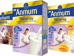 Harga Susu Anmum di Indomaret dan Alfamart Untuk Persiapan Hamil