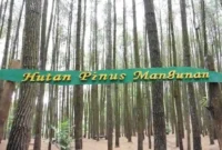 Harga Tiket Masuk Hutan Pinus Mangunan Dlingo