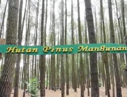 Harga Tiket Masuk Hutan Pinus Mangunan Dlingo Mei 2023