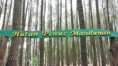 Harga Tiket Masuk Hutan Pinus Mangunan Dlingo