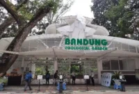 Harga Tiket Masuk Kebun Binatang Bandung