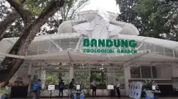 Harga Tiket Masuk Kebun Binatang Bandung