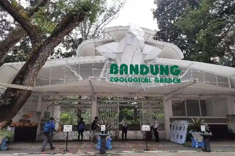 Harga Tiket Masuk Kebun Binatang Bandung