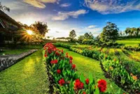 Harga Tiket Masuk Kebun Mawar Situhapa