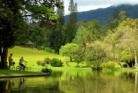 Harga Tiket Masuk Kebun Raya Cibodas