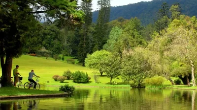 Harga Tiket Masuk Kebun Raya Cibodas Terbaru September 2023