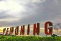 Harga Tiket Masuk Kebun Teh Kemuning