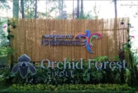 Harga Tiket Masuk Orchid Forest Cikole Lembang