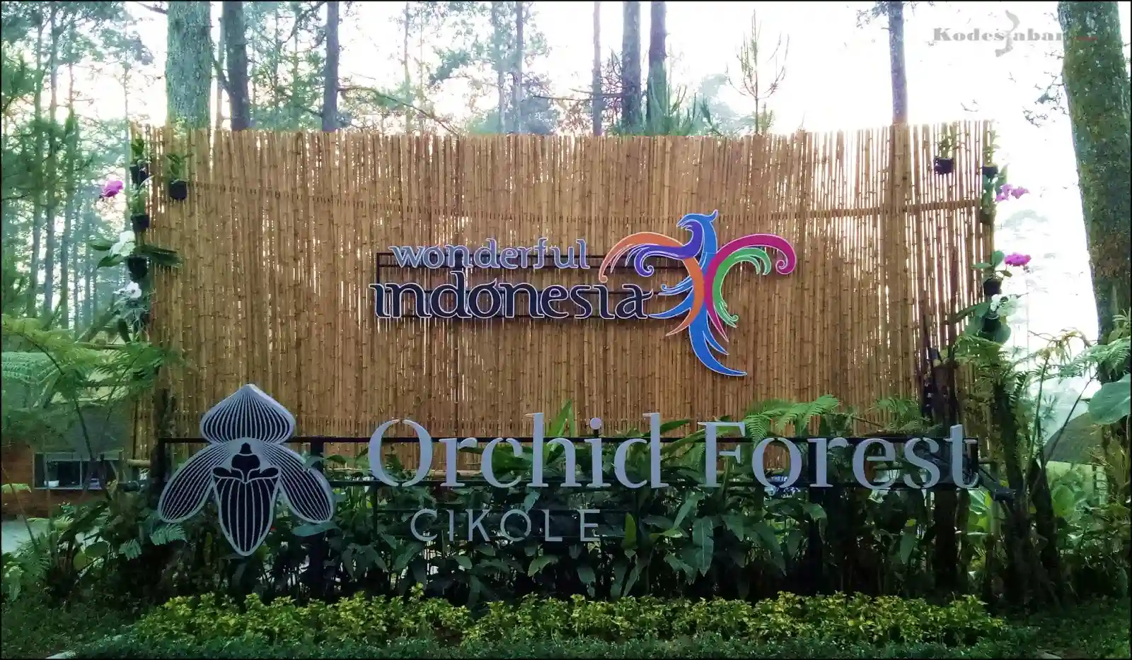 Harga Tiket Masuk Orchid Forest Cikole Lembang