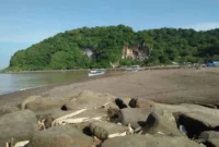 Harga Tiket Masuk Pantai Sodong Cilacap