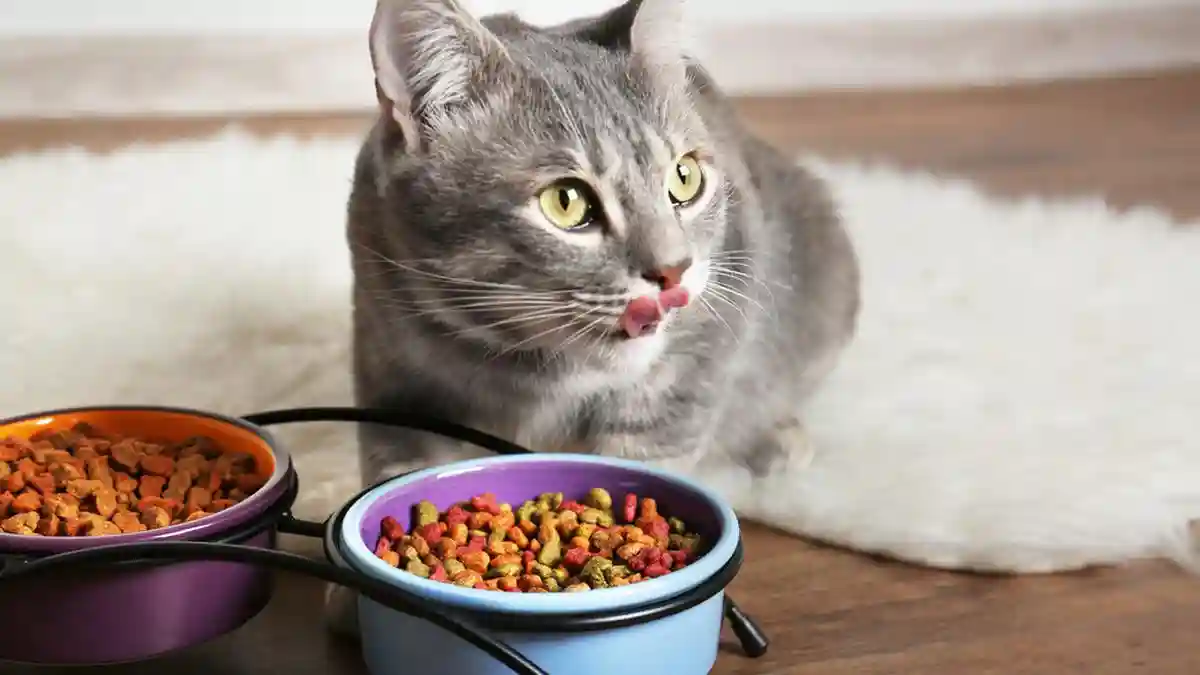 Harga Makanan Kucing Friskies (Semua Kemasan)