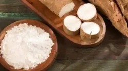 Harga Tepung Tapioka di Alfamart & Indomaret