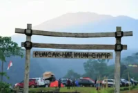 Harga Tiket Masuk Puncak Halimun Camp