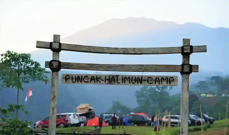 Harga Tiket Masuk Puncak Halimun Camp