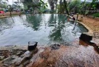 Harga Tiket Masuk Telaga Batu Bogor Terbaru