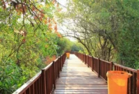 Harga Tiket Masuk Hutan Mangrove Surabaya