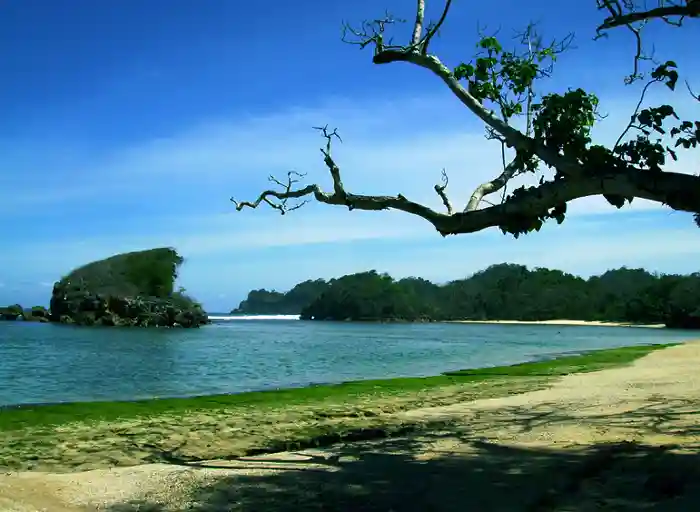 Panorama Hijau Pantai Kondang Merak