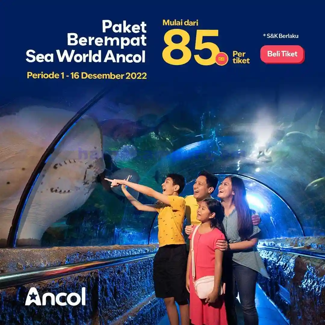 Promo Seaworld Ancol Tiket Masuk Terbaru Desember 2022 3