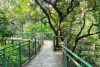 Harga Tiket Masuk Forest Walk Babakan Siliwangi