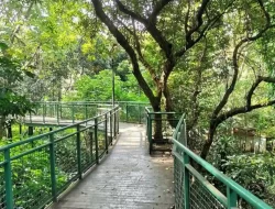 Harga Tiket Masuk Forest Walk Babakan Siliwangi Juni 2023