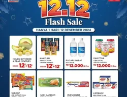 Promo Ramayana Spesial Flash Sale 12.12 Berlaku 12 Desember 2024