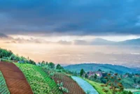 Harga Tiket Masuk Bukit Moko