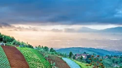 Harga Tiket Masuk Bukit Moko