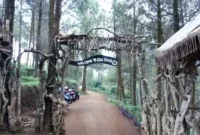 Harga Tiket Masuk Goa Pinus Terbaru