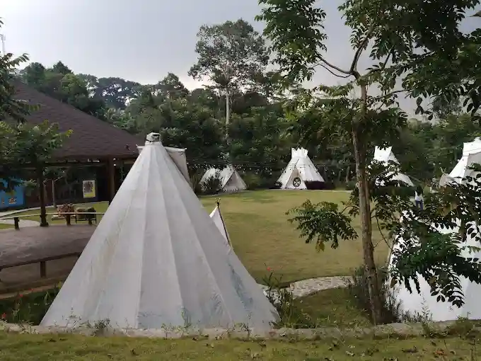 Camping & Glamping di Sparks Forest Adventure