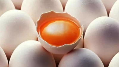 Harga Telur Ayam Kampung Terbaru September 2023