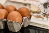 Harga Telur Ayam Negeri 1 Kg Terbaru