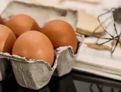Harga Telur Ayam Negeri 1 Kg Terbaru September 2023