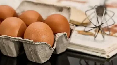 Harga Telur Ayam Negeri 1 Kg Terbaru Juni 2023
